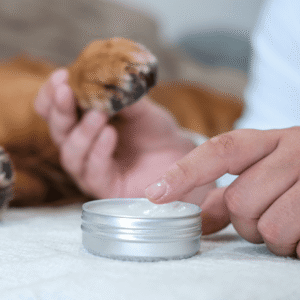 High Hopes Co 500mg CBD Pet Paw Calm Balm- Nut Free Formula